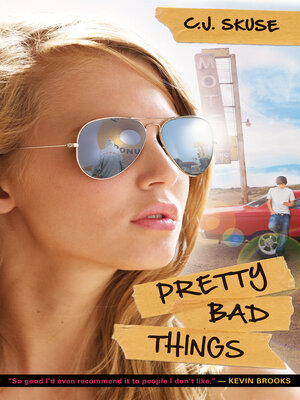 cover image of Pretty Bad Things